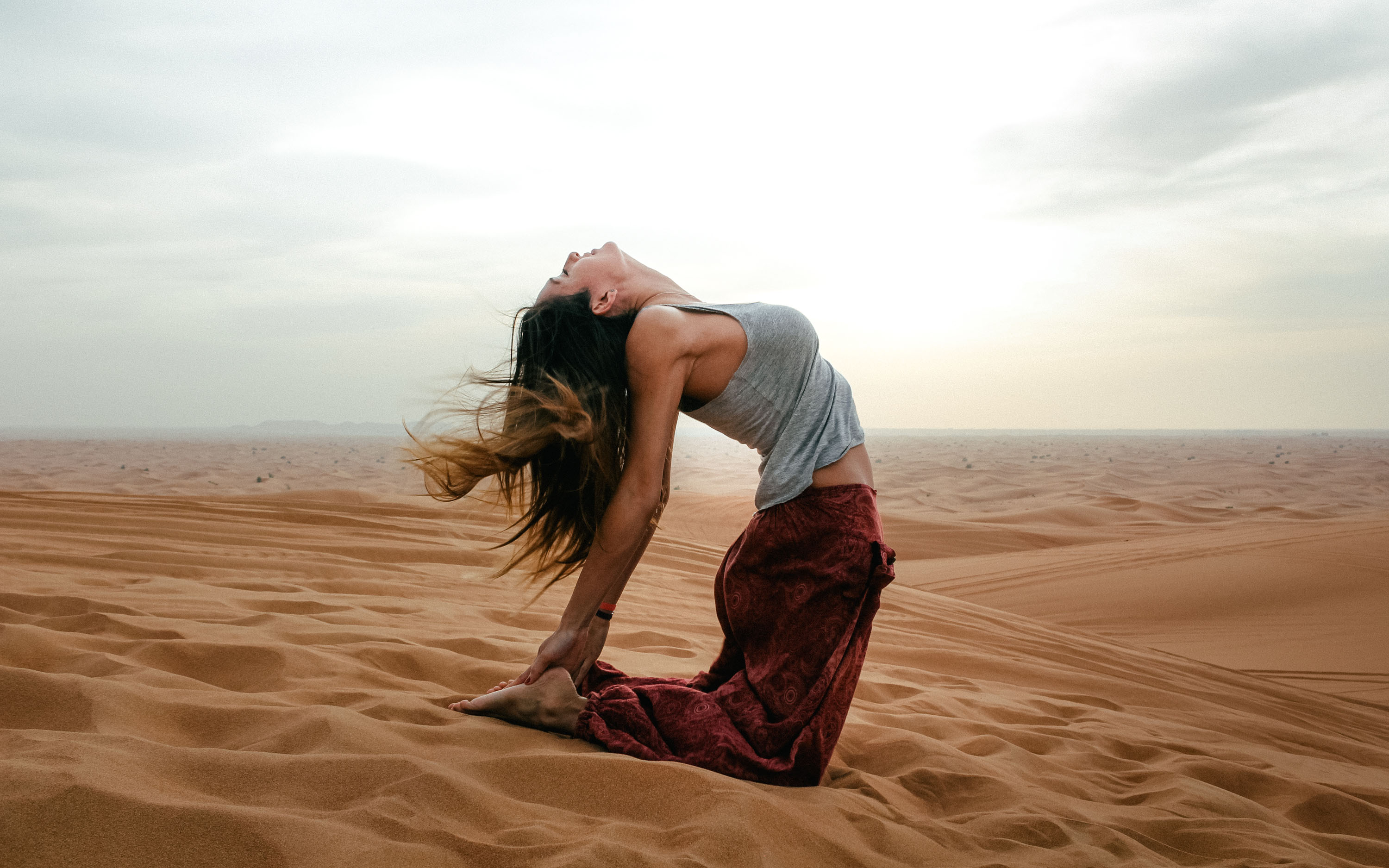 Red Arabian Desert, UAE